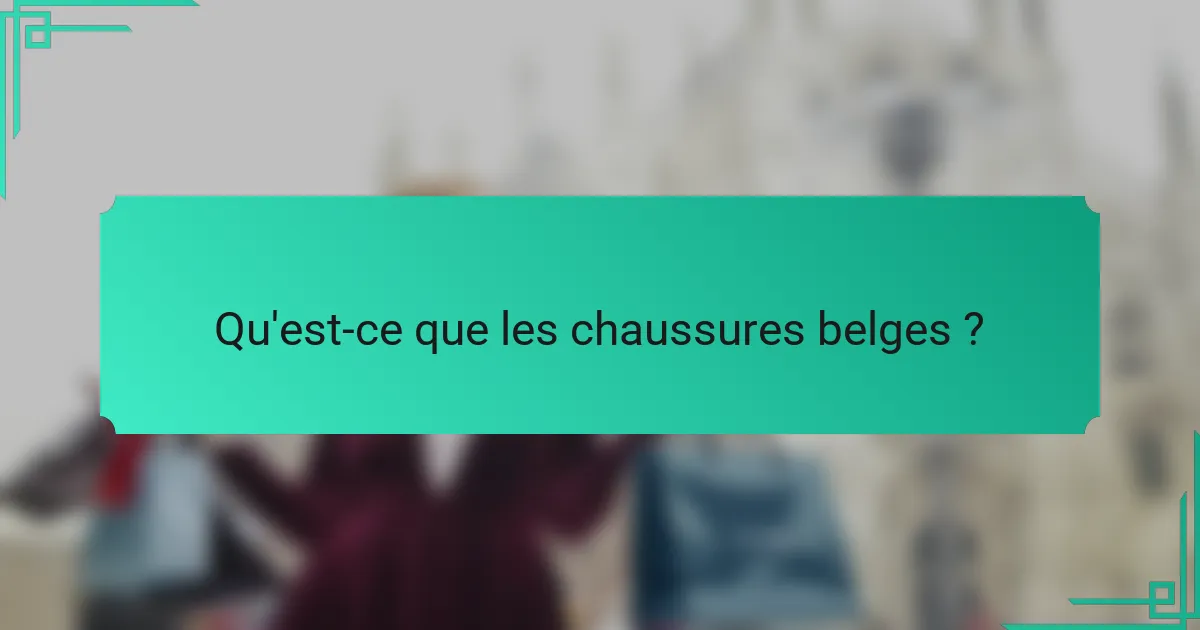 Qu'est-ce que les chaussures belges ?